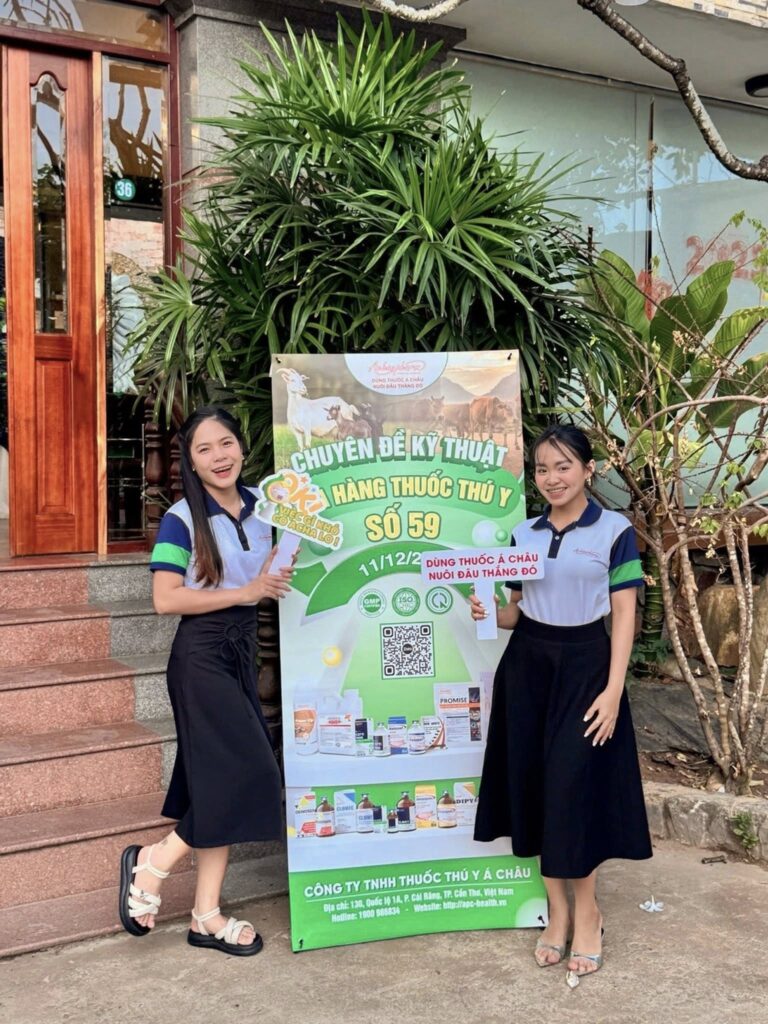 597290902 1446528213754791 2473371727091257019 n