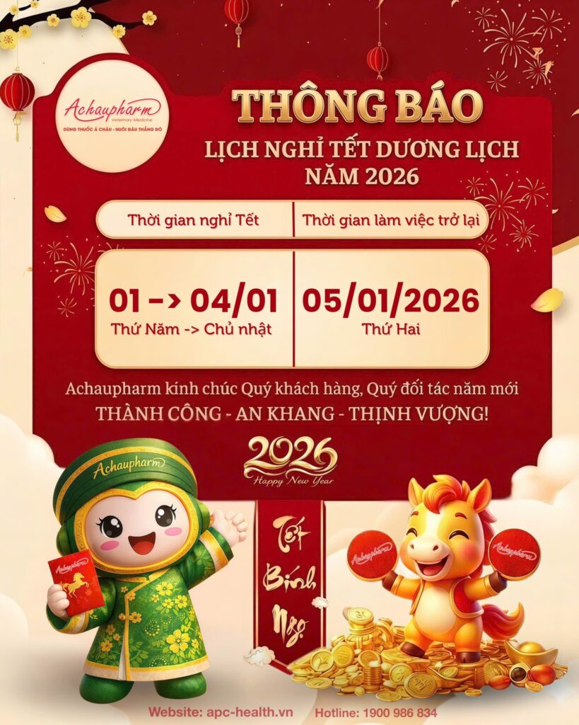 THÔNG BÁO LỊCH NGHỈ TẾT DƯƠNG LỊCH 2026 606166916 1458510499223229 5749636200408283354 n