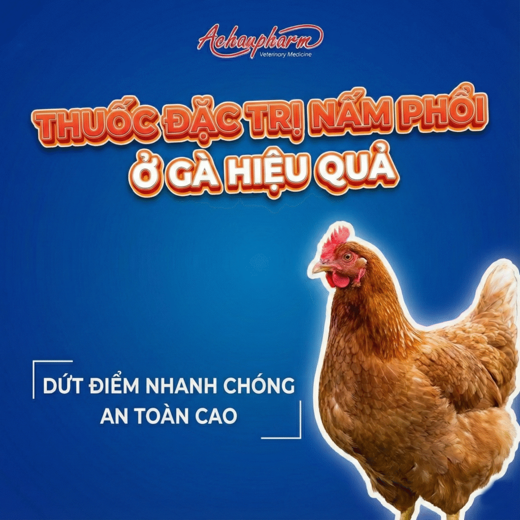 thuốc đặc trị nấm phổi ở gà