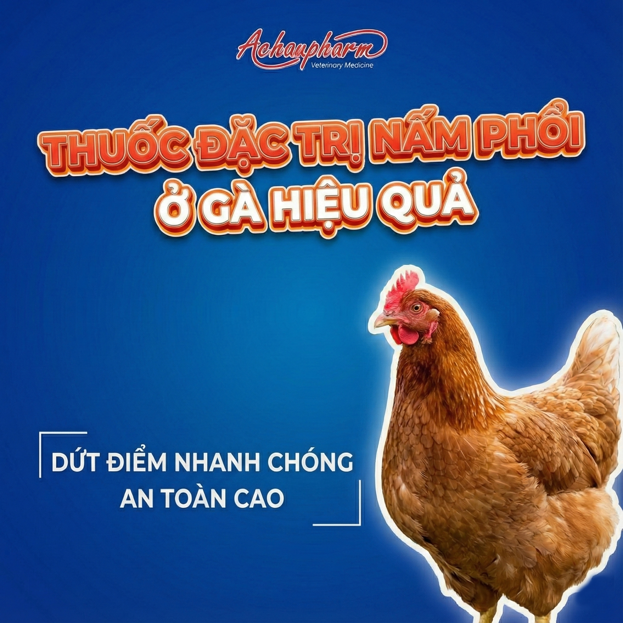 thuốc đặc trị nấm phổi ở gà