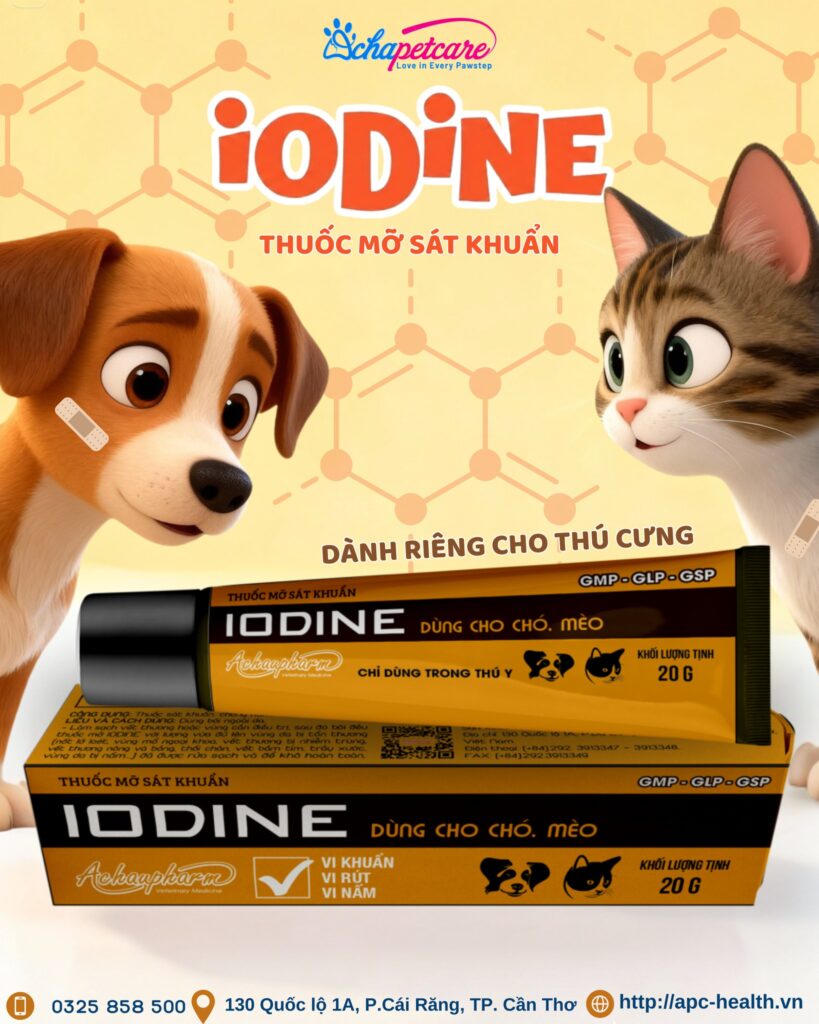 4 Thời Điểm "Vàng" Dùng Thuốc Mỡ Sát Khuẩn Cho Chó Mèo Thuốc mỡ sát khuẩn cho chó mèo