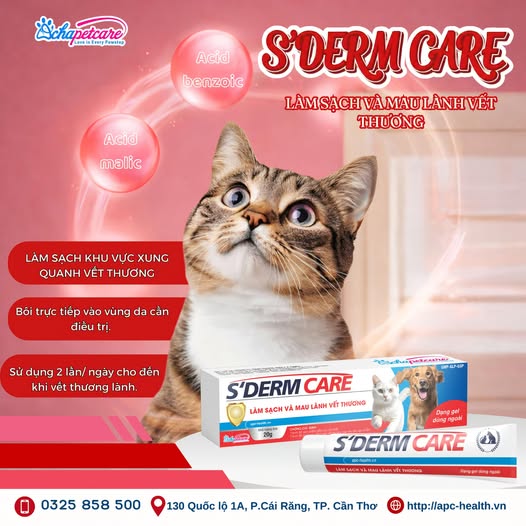 Gel Bôi Vết Thương Cho Chó Mèo S’DERM CARE: 3 Công Dụng & 2 Bước Làm Lành Da Nhanh Chóng Gel bôi vết thương cho chó mèo S’DERM CARE