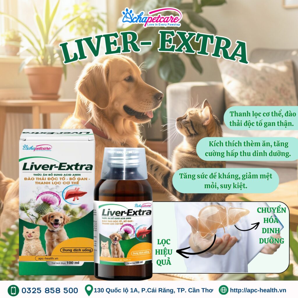 Thuốc Bổ Gan LIVER-EXTRA: Dạng Nước Dễ Uống | 5 Dấu Hiệu Suy Gan Thuốc Bổ Gan LIVER-EXTRA