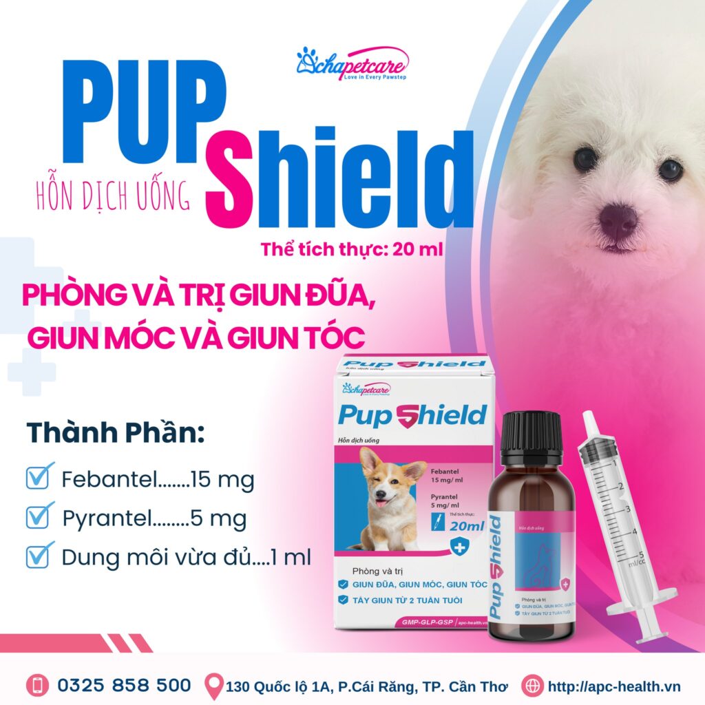 5+ Điều Cần Biết Về Thuốc Thú Y Tẩy Giun Cho Chó Mèo Thuốc Tẩy Giun Cho Chó Con 2 Tuần Tuổi: Dứt Điểm Giun Sán, Không Lo Sốc Thuốc