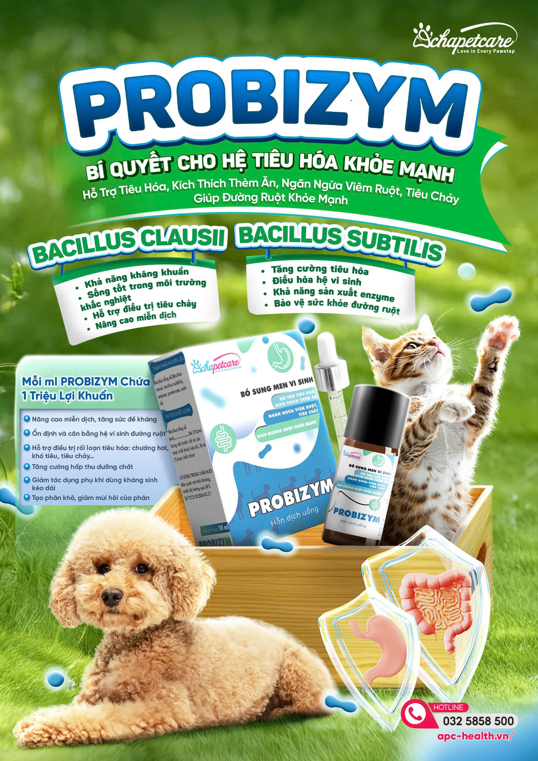 Men Tiêu Hóa Trị Tiêu Chảy Cho Chó Con 1-2 Tháng Tuổi