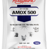 AMOX 500 - Điều trị hen gà, khẹc vịt, suyễn lợn tiêu chảy phân xanh