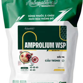 AMPROLIUM WSP – Điều trị viêm dạ dày – Ruột, bệnh lỵ điều trị cầu trùng điều trị viêm phổi, tiêu chảy, tụ huyết