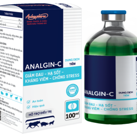 ANALGIN C 100ML – Hạ sốt – Giảm đau