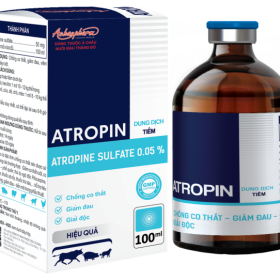 ATROPIN 100ML – Hỗ trợ điều trị bệnh đường hô hấp