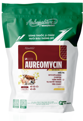AUREOMYCIN – Điều trị viêm phổi, tiêu chảy, tụ huyết trùng, Mycoplasma, Coryza trên gia súc, gia cầm