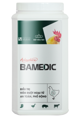 BAMEDIC – Điều trị viêm ruột hoại tử, an toàn, phổ rộng điều trị viêm teo mũi, hen gà, suyễn lợn, sưng phù đầu