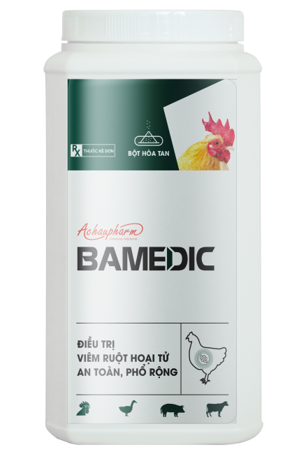 BAMEDIC - Điều trị viêm ruột hoại tử, an toàn, phổ rộng điều trị viêm teo mũi, hen gà, suyễn lợn, sưng phù đầu