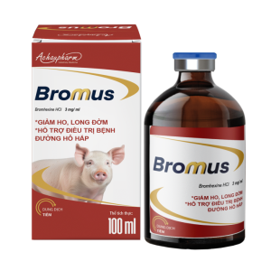 BROMUS 100ML - Hỗ trợ điều trị bệnh đường hô hấp
