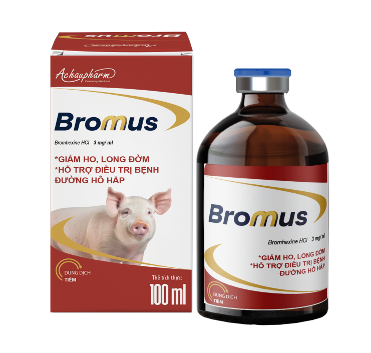 BROMUS 100ML - Hỗ trợ điều trị bệnh đường hô hấp