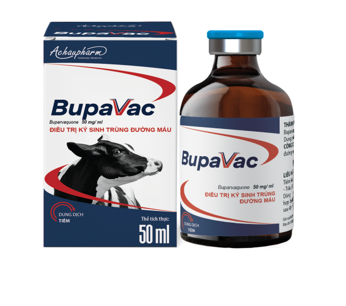 BUPAVAC 20ML - ĐIỀU TRỊ KÝ SINH TRÙNG ĐƯỜNG MÁU - Điều trị bệnh babesiosis: 1 ml/ 100 kg thể trọng. - Phòng ngừa