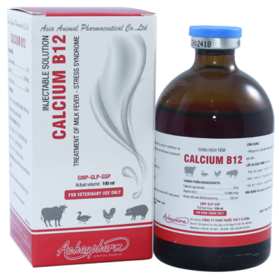 CALCIUM B12 – Phòng và trị bệnh thiếu Calcium, thiếu máu