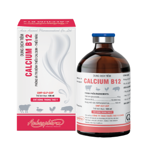 CALCIUM B12 - Phòng và trị bệnh thiếu calcium - thiếu máu
