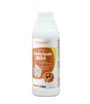 CALCIUM PLUS (GÀ) – Phát triển khung xương, cải thiện chất lượng trứng, tăng năng suất thịt và trứng