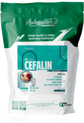 CEFALIN – Điều trị Coryza, tụ huyết trùng, viêm ruột, bại huyết trên vịt