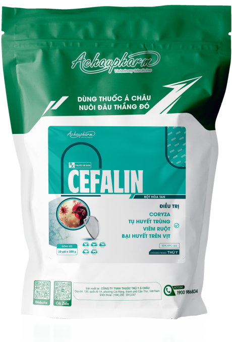 CEFALIN - Điều trị Coryza, tụ huyết trùng, viêm ruột, bại huyết trên vịt