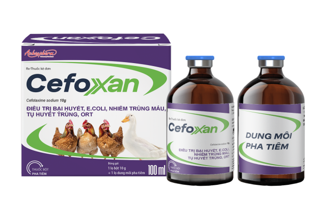 CEFOXAN - Điều trị bại huyết, E.coli, nhiễm trùng máu, tụ huyết trùng, ORT trên gia súc, gia cầm