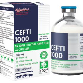 CEFTI 1000 – Điều trị viêm vú gây mất sữa, viêm tử cung điều trị viêm phổi – Viêm vú – Viêm tử cung điều trị
