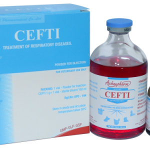CEFTI 1000 20 ML - Điều trị viêm vú gây mất sữa, viêm tử cung điều trị viêm phổi – Viêm vú - Viêm tử cung điều
