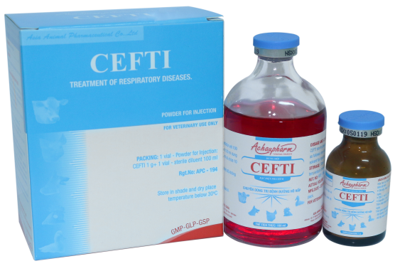 CEFTI 1000 100ML - Điều trị viêm vú gây mất sữa, viêm tử cung điều trị viêm phổi – Viêm vú - Viêm tử cung điều