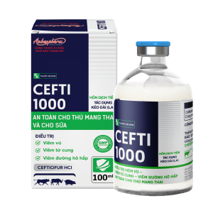 CEFTI 1000 - Trị bệnh đường hô hấp an toàn cho bò sữa đang cho sữa