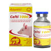 CEFTI 1000 20ML - Trị bệnh đường hô hấp an toàn cho bò sữa đang cho sữa