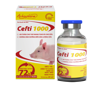 CEFTI 1000 20ML - Trị bệnh đường hô hấp an toàn cho bò sữa đang cho sữa
