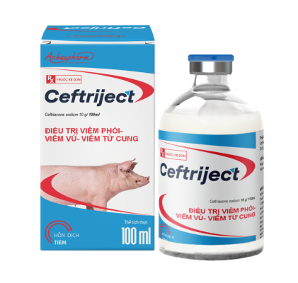 CEFTRIJECT 100ML – Điều trị viêm phổi – Viêm vú – Viêm tử cung điều trị: – Viêm vú, viêm tử cung – Brd, srd – Viêm