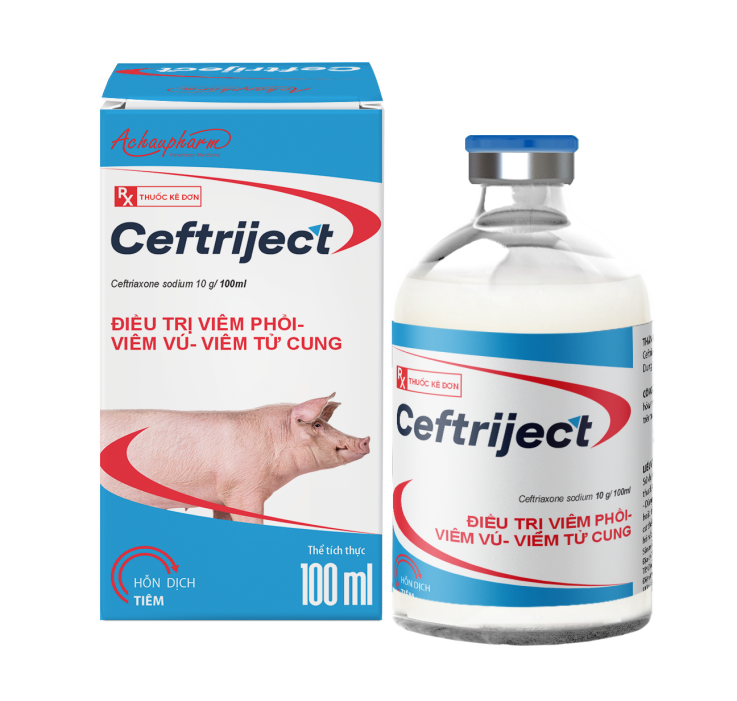 CEFTRIJECT 100ML - Điều trị viêm phổi – Viêm vú - Viêm tử cung điều trị: - Viêm vú, viêm tử cung - Brd, srd - Viêm