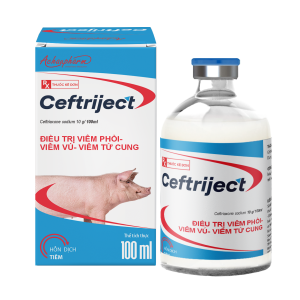 CEFTRIJECT 100ML - Điều trị viêm phổi – viêm vú - viêm tử cung