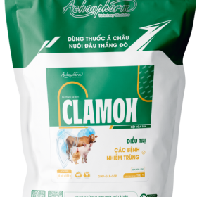 CLAMOX – Kháng sinh phổ rộng phối hợp Amoxicillin và Acid clavulanic, điều trị các bệnh nhiễm trùng cho gia súc