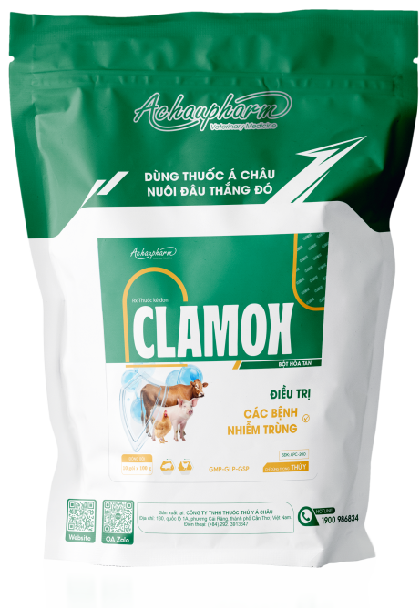 CLAMOX - Kháng sinh phổ rộng phối hợp Amoxicillin và Acid clavulanic, điều trị các bệnh nhiễm trùng cho gia súc