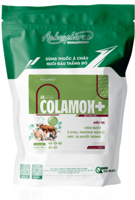 COLAMOX 1 – Điều trị viêm ruột, e.coli, thương hàn, tụ huyết trùng điều trị viêm ruột, e.coli, viêm phổi, tụ huyết