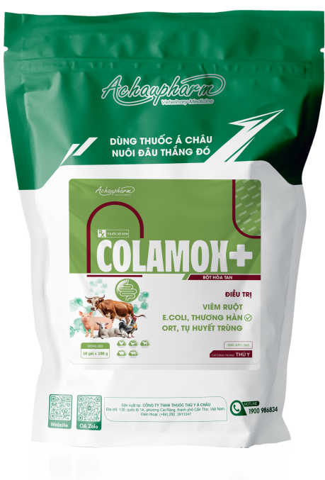 COLAMOX 1 - Điều trị viêm ruột, e.coli, thương hàn, tụ huyết trùng điều trị viêm ruột, e.coli, viêm phổi, tụ huyết