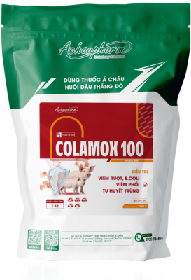 COLAMOX 100 – Điều trị viêm ruột, e.coli, thương hàn, tụ huyết trùng điều trị viêm ruột, e.coli, viêm phổi, tụ