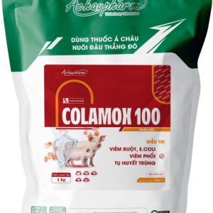 COLAMOX 100 - Điều trị viêm ruột, e.coli, thương hàn, tụ huyết trùng điều trị viêm ruột, e.coli, viêm phổi, tụ