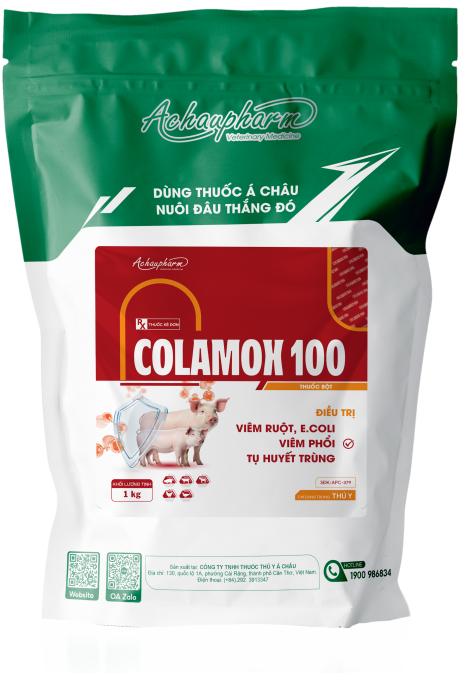COLAMOX 100 - Điều trị viêm ruột, e.coli, thương hàn, tụ huyết trùng điều trị viêm ruột, e.coli, viêm phổi, tụ