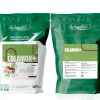 COLAMOX+ - Trị nhiễm khuẩn đường tiêu hóa, viêm phế quản phổi, viêm đường tiết niệu, viêm da