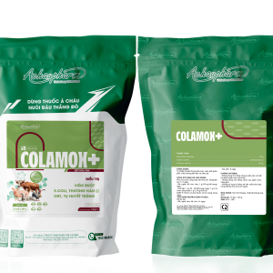 COLAMOX+ - Trị nhiễm khuẩn đường tiêu hóa, viêm phế quản phổi, viêm đường tiết niệu, viêm da