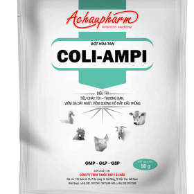 COLI AMPI – Điều trị tiêu chảy, toi, thương hàn, viêm dạ dày ruột, viêm đường hô hấp, cầu trùng trên gia súc, gia