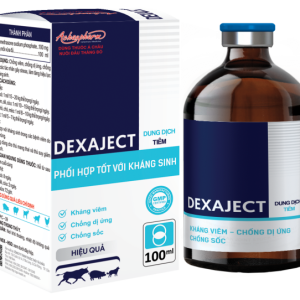 DEXAJECT - Dung dịch tiêm Dexamethasone chống viêm, chống dị ứng, chống shock, tăng hiệu lực kháng sinh cho gia