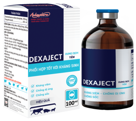 DEXAJECT – Dung dịch tiêm Dexamethasone chống viêm, chống dị ứng, chống shock, tăng hiệu lực kháng sinh cho gia