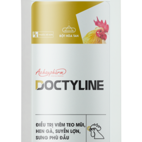 DOCTYLINE – Điều trị viêm ruột hoại tử, an toàn, phổ rộng điều trị viêm teo mũi, hen gà, suyễn lợn, sưng phù đầu