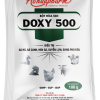 DOXY 500 - Điều trị viêm teo mũi, hen gà, suyễn lợn sưng phù đầu