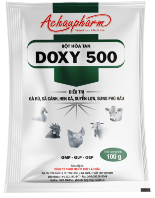 DOXY 500 – Điều trị viêm teo mũi, hen gà, suyễn lợn sưng phù đầu