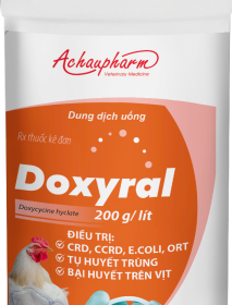 DOXYRAL 1L – Kháng sinh Doxycycline dạng nước, điều trị thương hàn, tụ huyết trùng, ORT trên gia súc, gia cầm